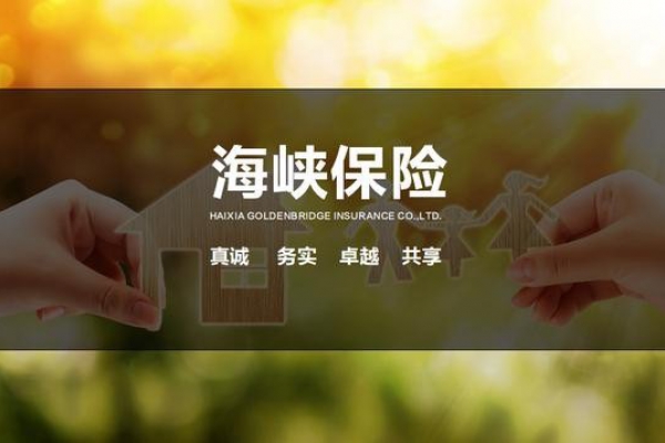 分支組網優化解決方案